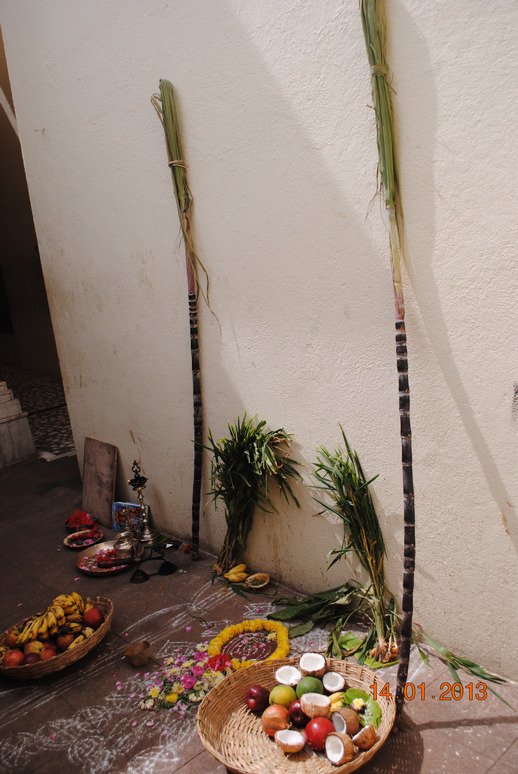 Makara Shankaranti